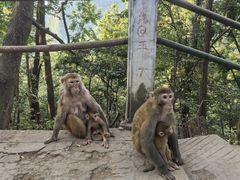 -黔灵山公园