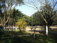 -瀛洲公园