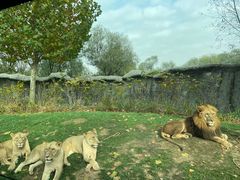 -北京野生动物园