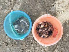 -北海金海湾红树林生态旅游区