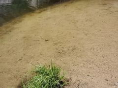 -碓臼峪自然风景区