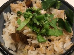 -百年果林椰子鸡(中洲店)