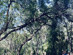 -禅宗少林·音乐大典