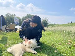 -南京市无想山景区