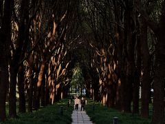 -上海科技馆(地铁站)