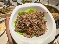 -浩爷羊蝎子火锅(望京店)