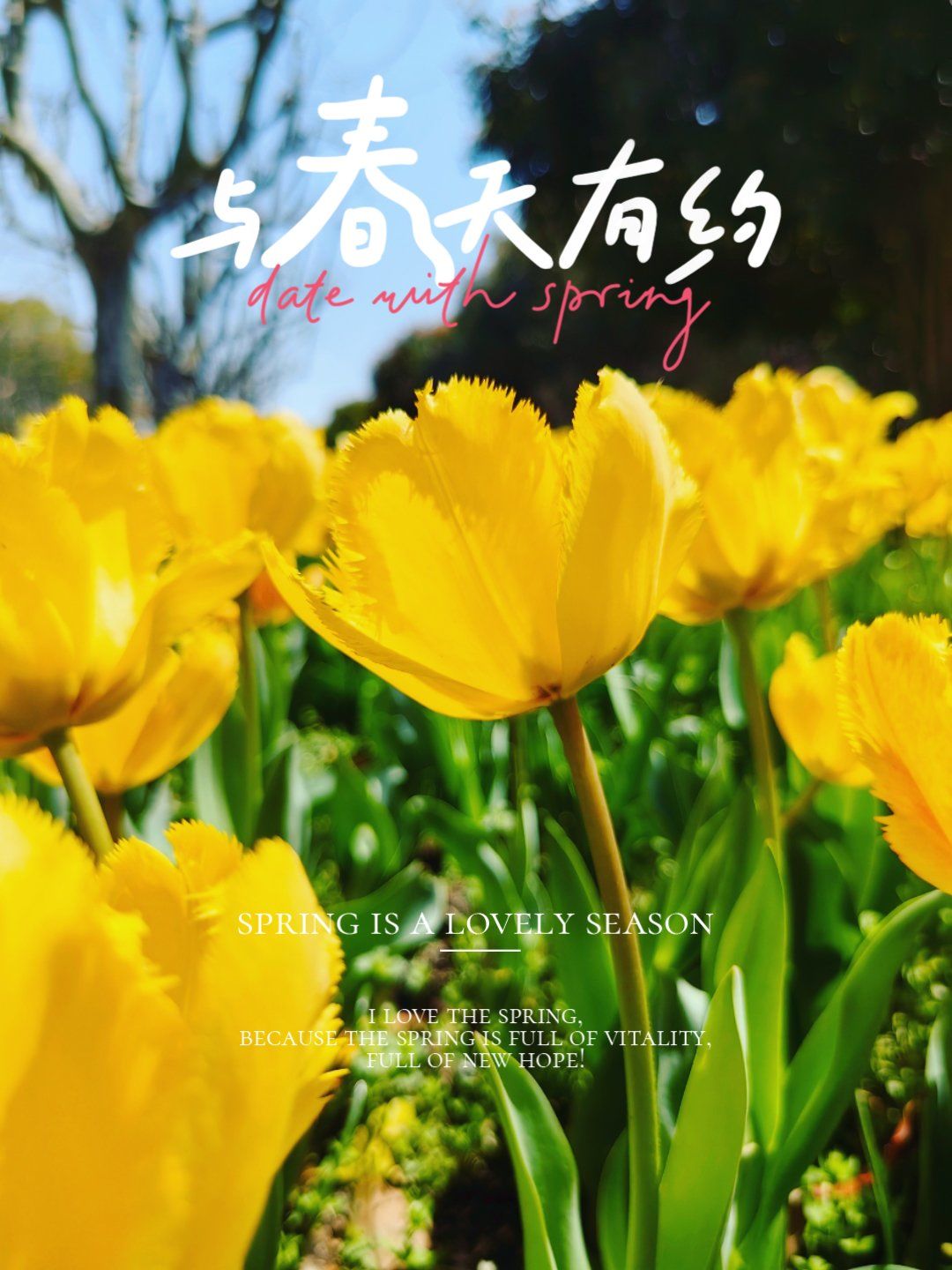 springseason