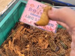 -荔城生鲜盛宴(番禺旗舰店)