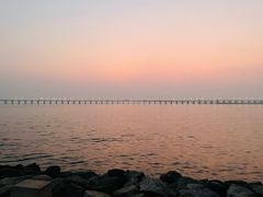 -宝安西湾红树林湿地公园