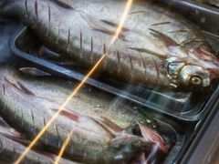 -老味道1992(武当山店)