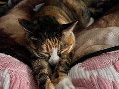 -新荟城(望京店)