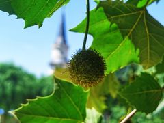 -北京张裕爱斐堡酒庄