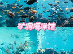 -长鹿旅游休博园
