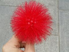 -武清南湖绿博园