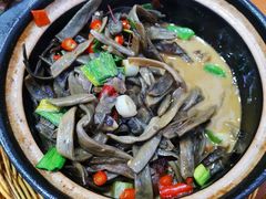 -全乐鱼馆·淳牌有机鱼直营店