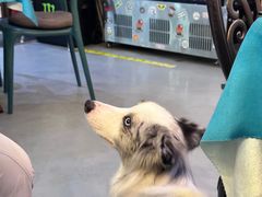 -My Way Town买味堂·东南亚餐厅(亦庄店)