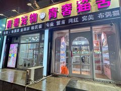 -青奢宠物·青奢猫舍