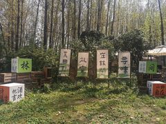 -林间山庄