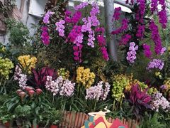 -北京植物园-展览温室