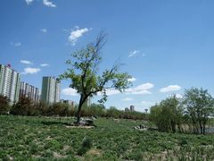 -永定河休闲森林公园