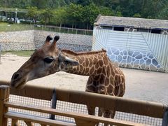 -泉州海丝野生动物世界