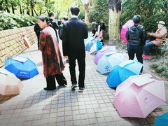 -人民公园-相亲角