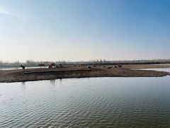 -宁波杭州湾国家湿地公园