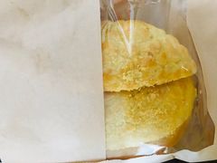 -南枝记