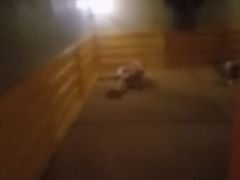 -汤W城市微度假(仓山店)