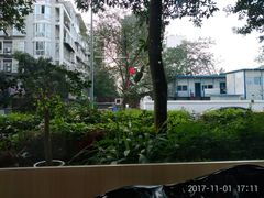 -瑞派宠物医院(锦江店)