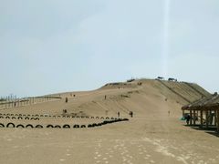 -金沙湖旅游度假区
