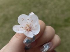 -徐家汇公园