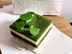 -BLACKSWAN黑天鹅(环球店)