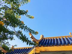 -金砂公园