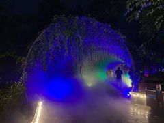 -大塘金香草谷