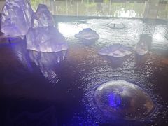 -青岛鑫江温德姆酒店