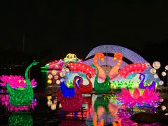 -映月湖公园