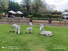-海棠湾洲际-涛·海底餐厅·美人鱼·自助餐·海底隧道