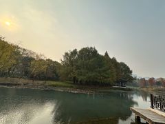-尚贤河湿地
