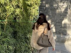 -北京国子监胡同