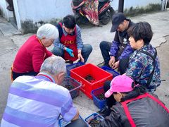 -晓琦农家菜馆·地道农家菜