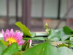 -苏州独墅湖书香世家酒店