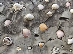 -东沙渔村