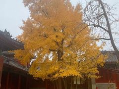 -承恩寺