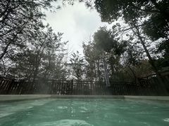 -天目湖涵田半山温泉