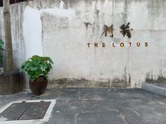 -几荷·恰似故人来(秀水广场店)