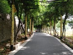 -雪山彩虹谷景区