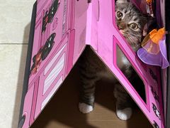 -烤匠麻辣烤鱼(万象城店)