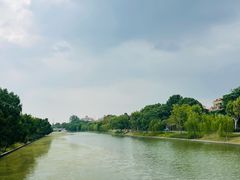 -柠季·手打柠檬茶(上海龙之梦店)