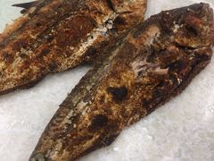 -黑龙江美食城(三角公园店)